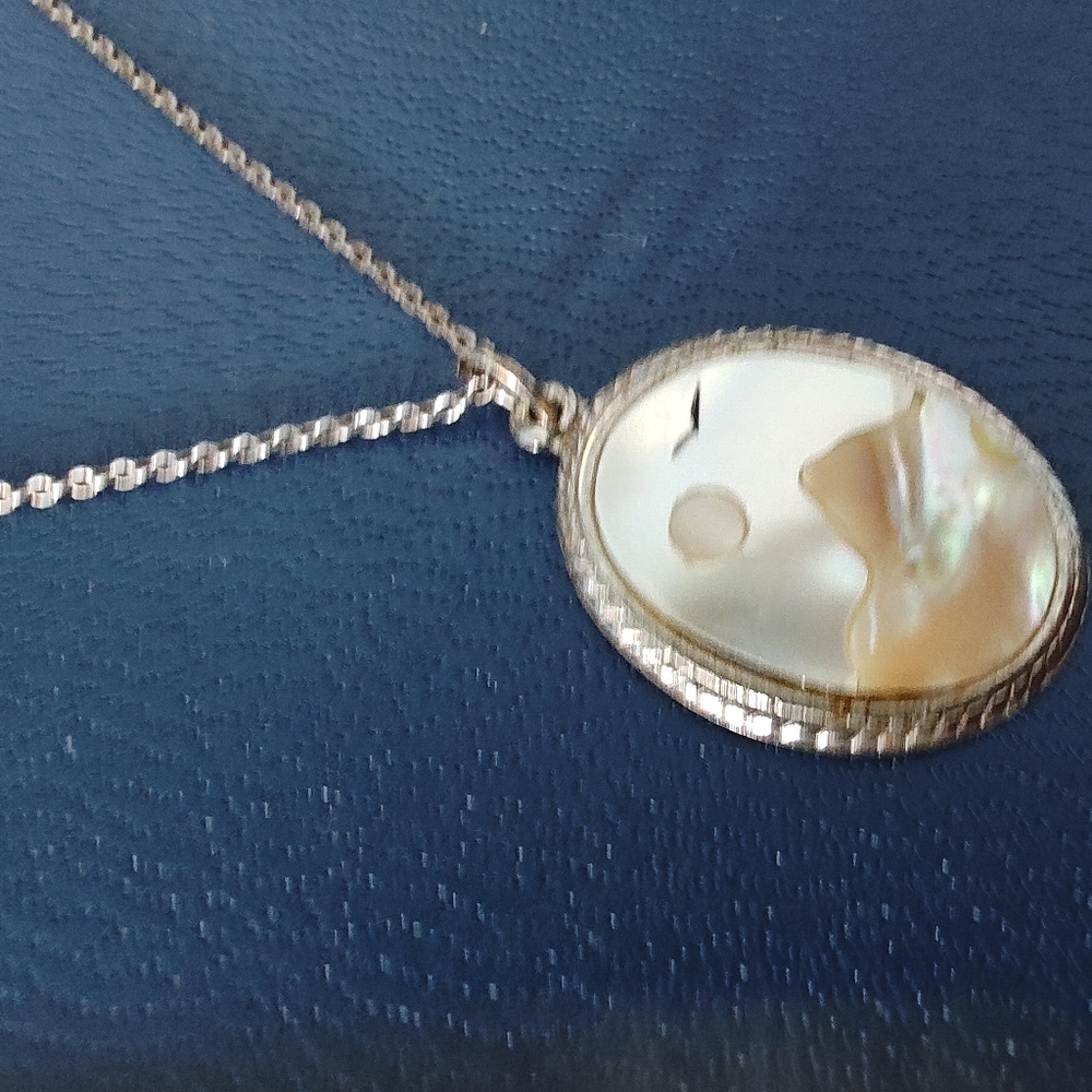 Mother Of Pearl Pendant With Silver-tone Chain Necklace